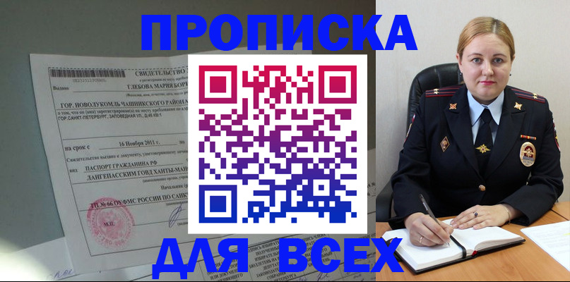 прописка поиск в Курчалом